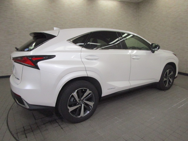 NX300h20250206