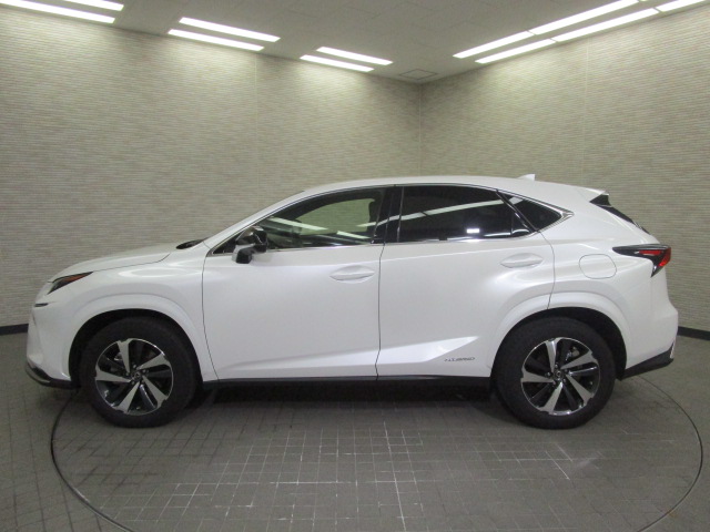 NX300h20250206