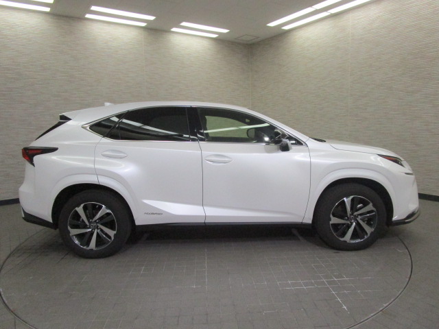 NX300h20250206