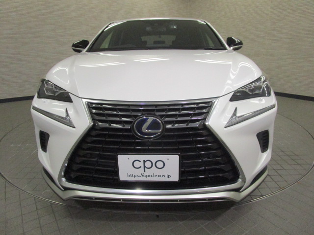 NX300h20250206