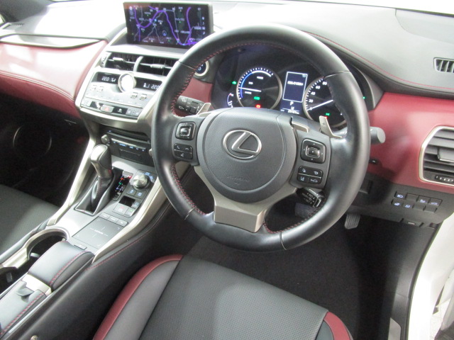 NX300h20250206