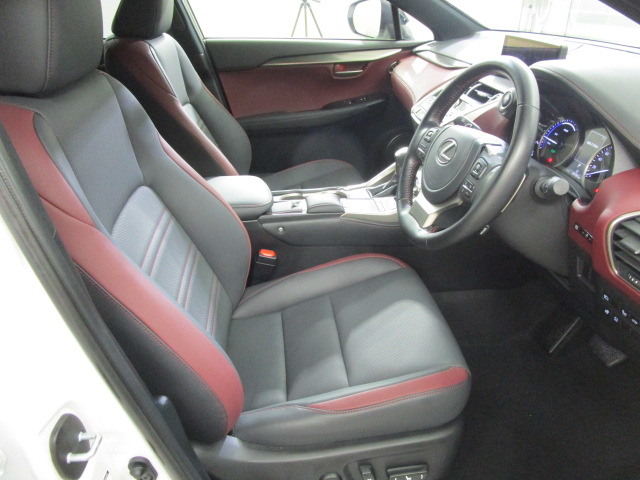 NX300h20250206