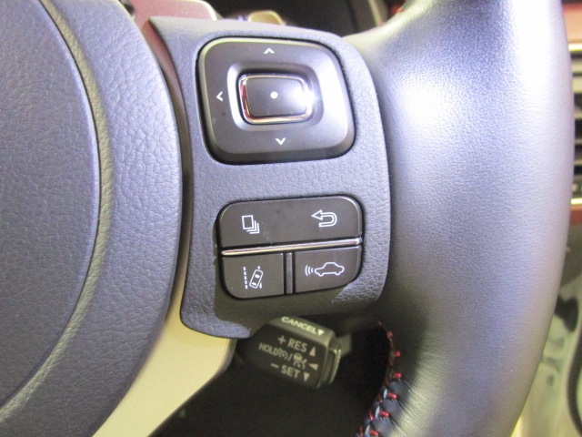 NX300h20250206