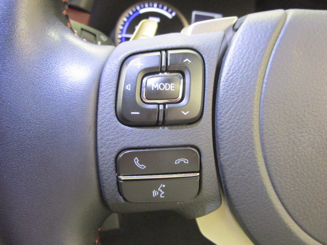 NX300h20250206