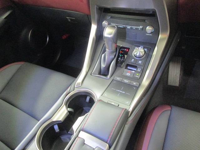 NX300h20250206