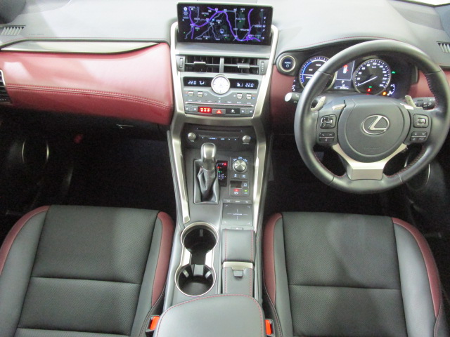NX300h20250206