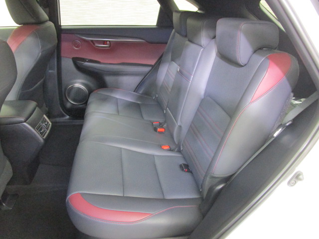 NX300h20250206