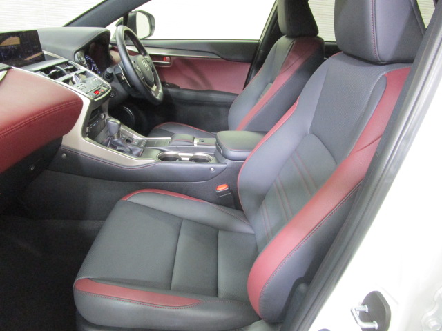 NX300h20250206