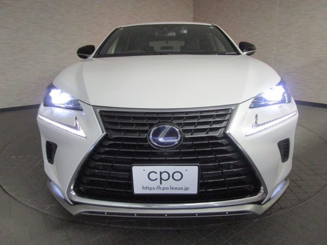 NX300h20250206