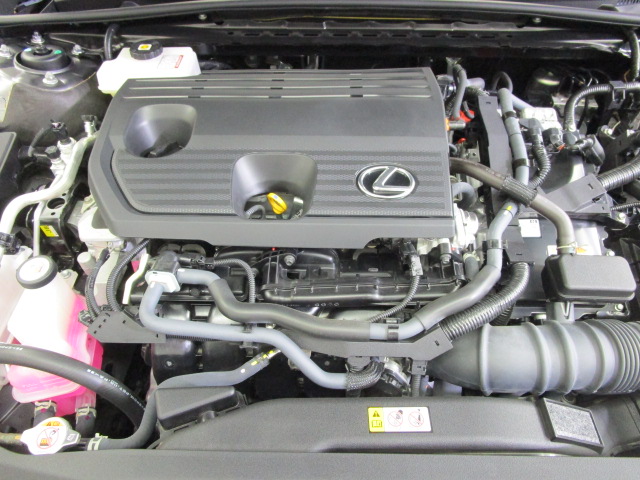 ES300h20250227