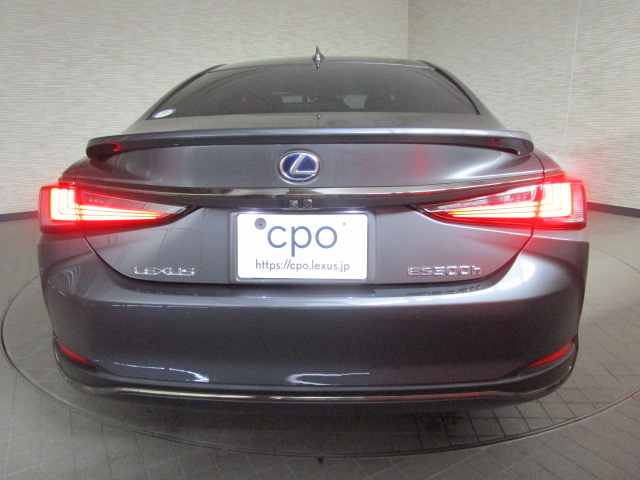 ES300h20250227