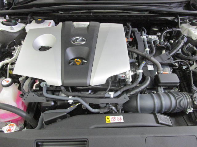 ES300h20250307