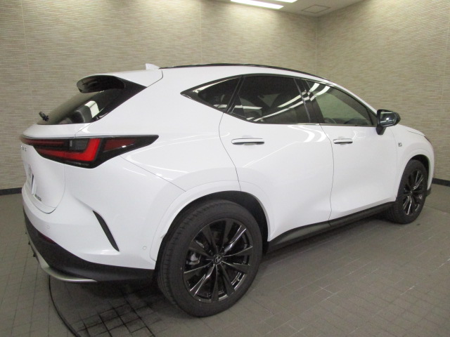 NX350h20250508