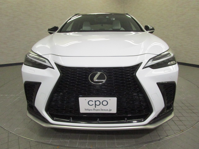NX350h20250508