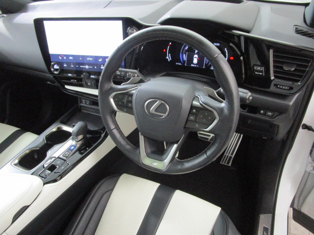 NX350h20250508