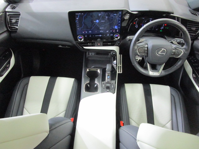 NX350h20250508