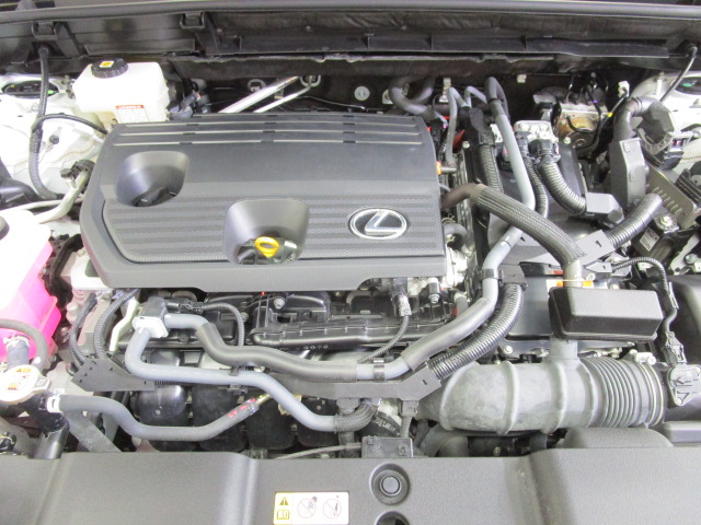 NX350h20250508