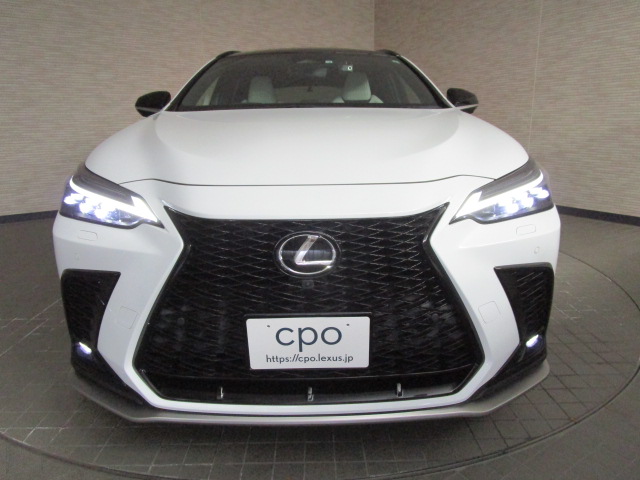 NX350h20250508