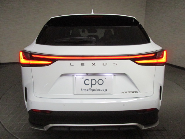 NX350h20250508