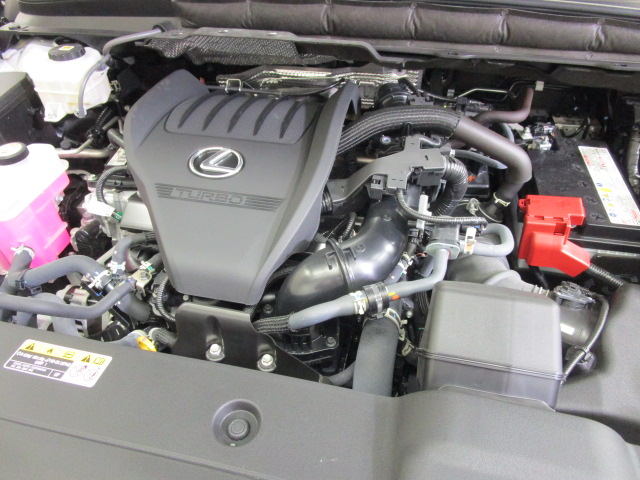 RX35020250502