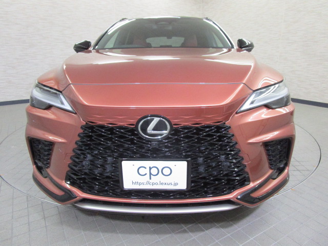 RX500h20250509