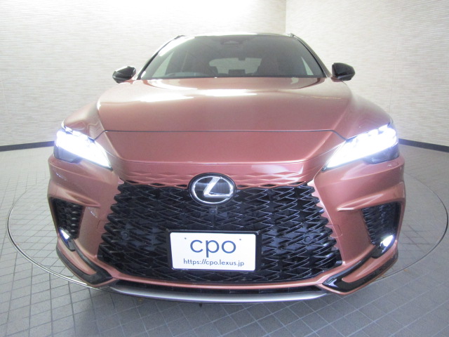 RX500h20250509