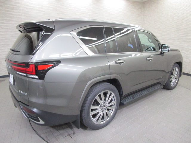 LX6002025016