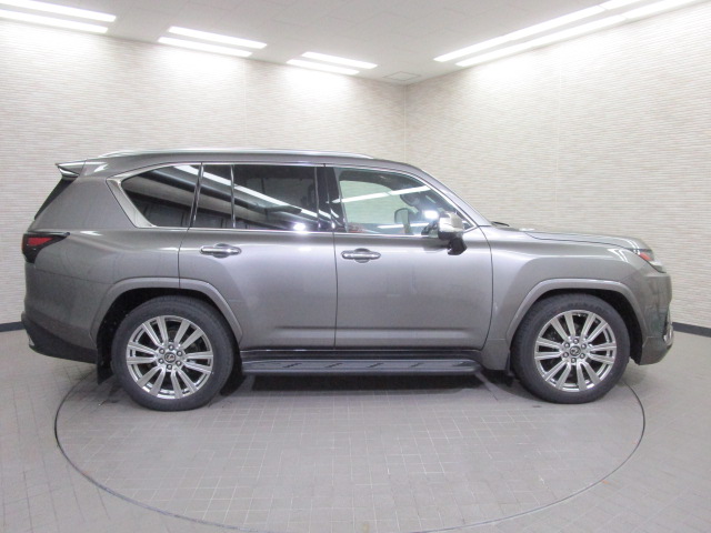 LX6002025016