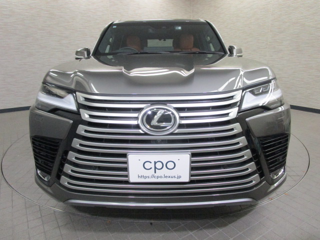 LX6002025016