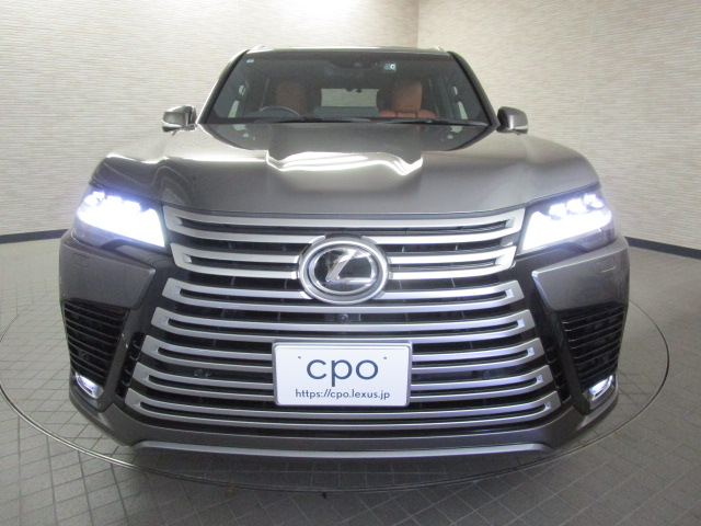 LX6002025016