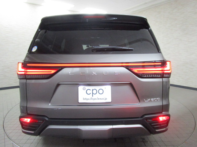 LX6002025016