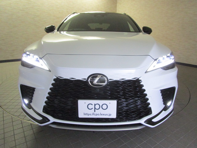 RX500h20250605