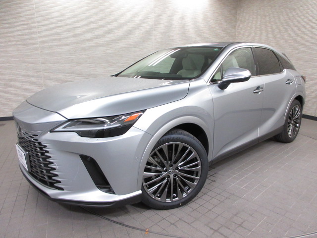 RX350h20250606