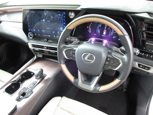 RX350h20250606