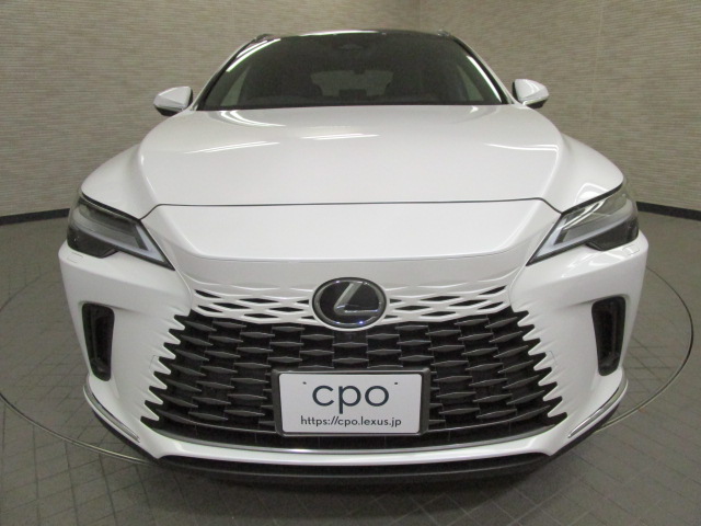 RX450h20250612