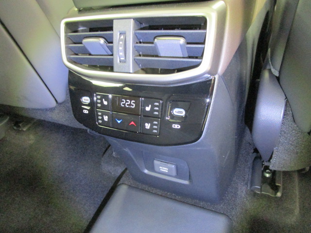 RX450h20250612