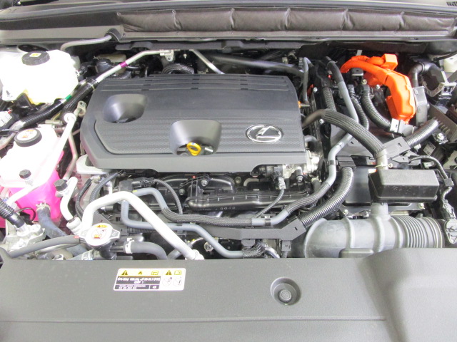 RX450h20250612