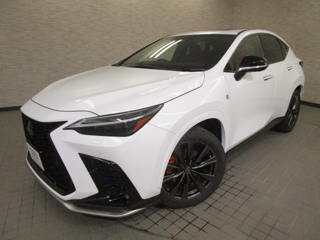 NX350h20250714