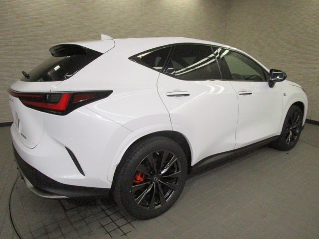 NX350h20250714