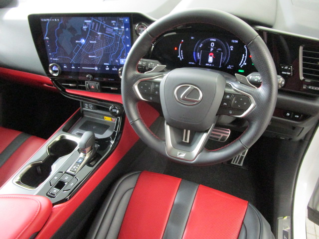 NX350h20250714