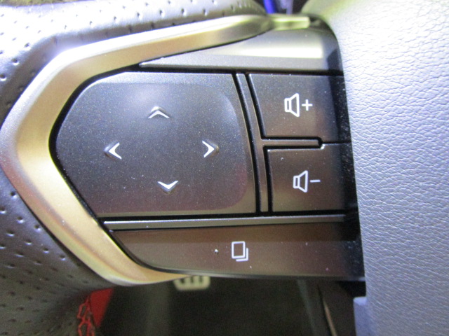 NX350h20250714