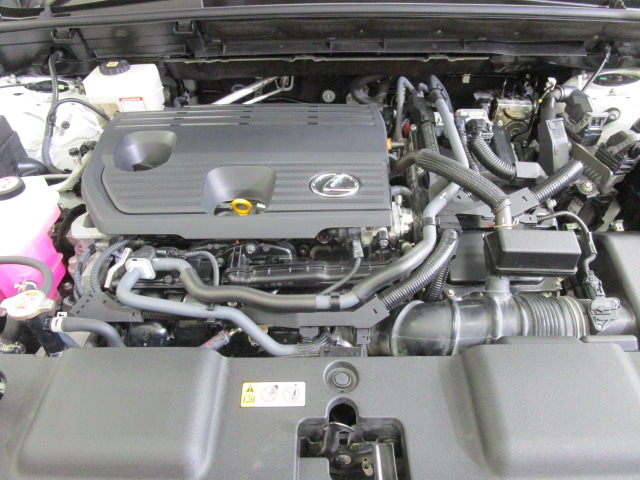 NX350h20250714