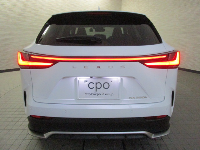 NX350h20250714