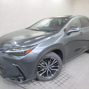 NX250 バージョンL(商談予約)