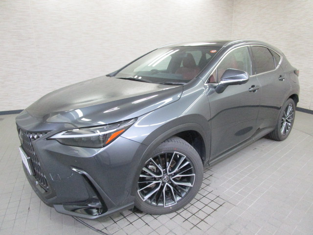 NX25020250707