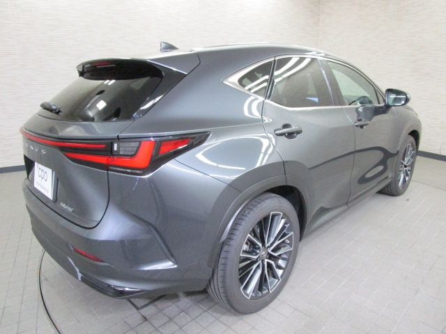NX25020250707