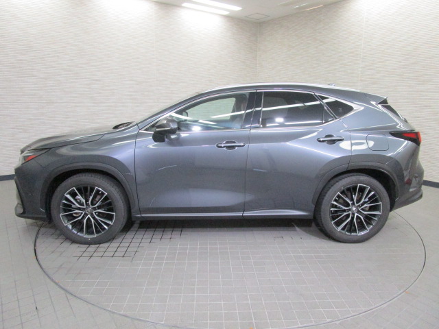 NX25020250707