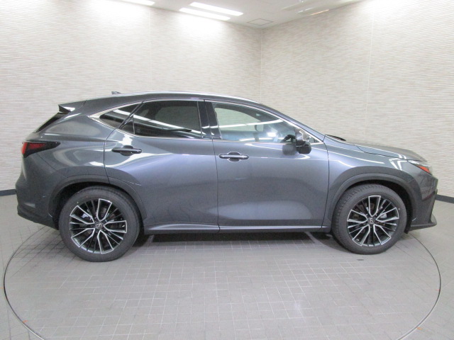 NX25020250707