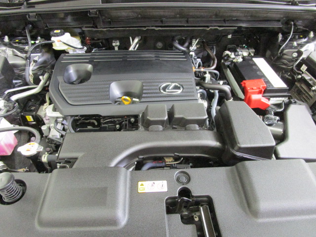NX25020250707