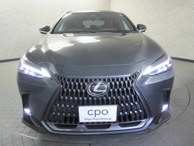 NX25020250707